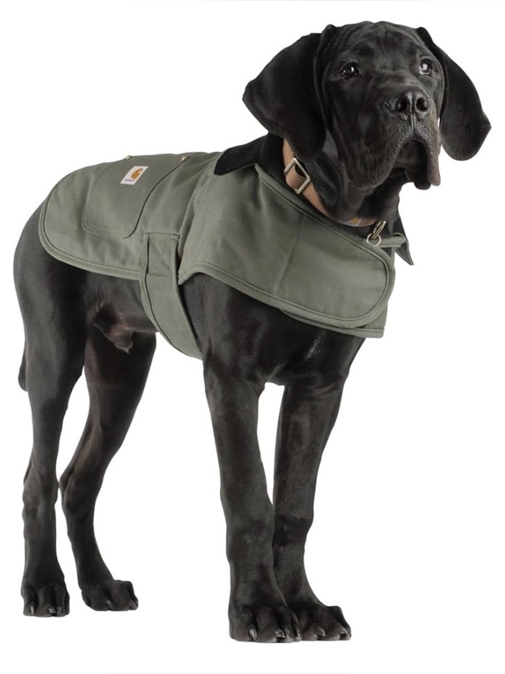 NWOT Carhartt Olive Green Canvas Dog Chore Coat Size Medium